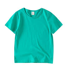 boys casual dailywear tshirts