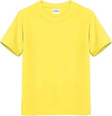 boys casual dailywear tshirts